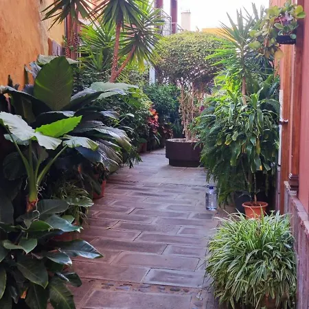 Apartment Teideplaya Puerto de la Cruz (Tenerife)